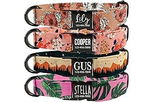 Unique Personalized Dog Collar for Adored Medium Sized Dogs