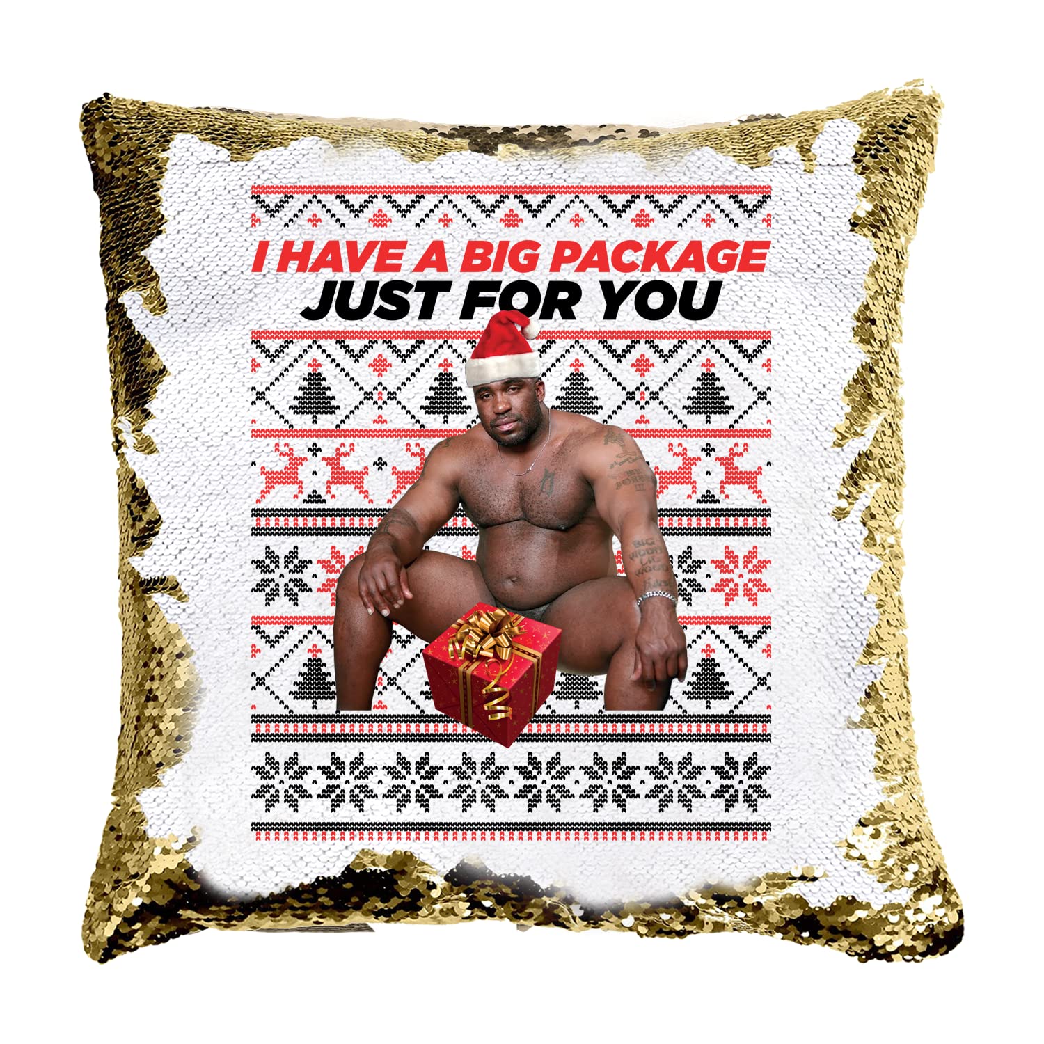 Smartypants Cover+Filling Barry Wood Big Package Square Sequin Cushion - Novelty Rude Crude Explicit Fun Merry Xmas Eve Festive Jolly Santa Festive Gold Holiday Home Decor Gift Present (Cover+Filling)