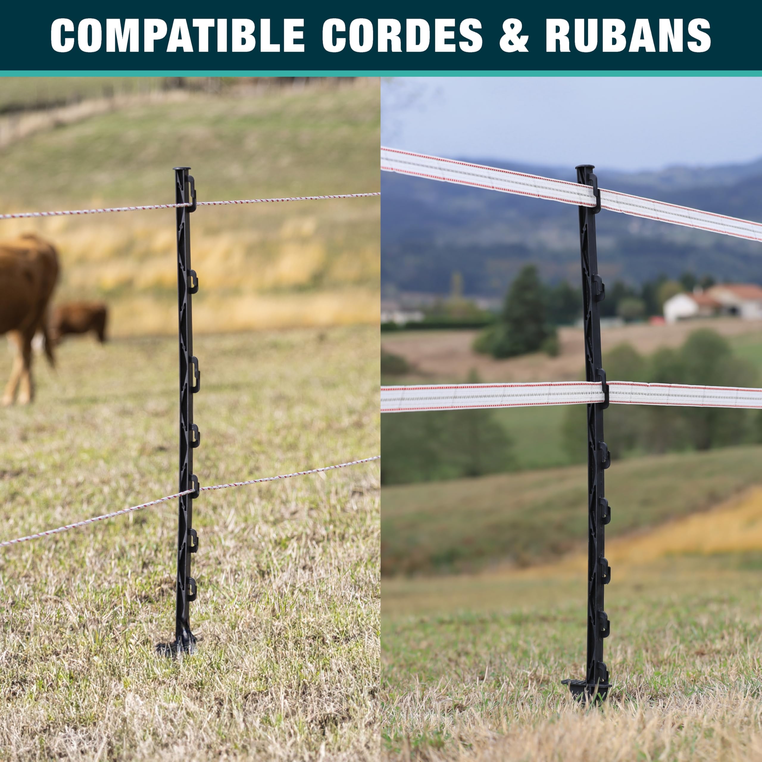 Kit Clôture Électrique Complet – Cordon 3 mm 200 m + 10 Piquets Plastique 87 cm – Haute Conductivité – Pour Chevaux, Moutons, Chèvres, Bovins