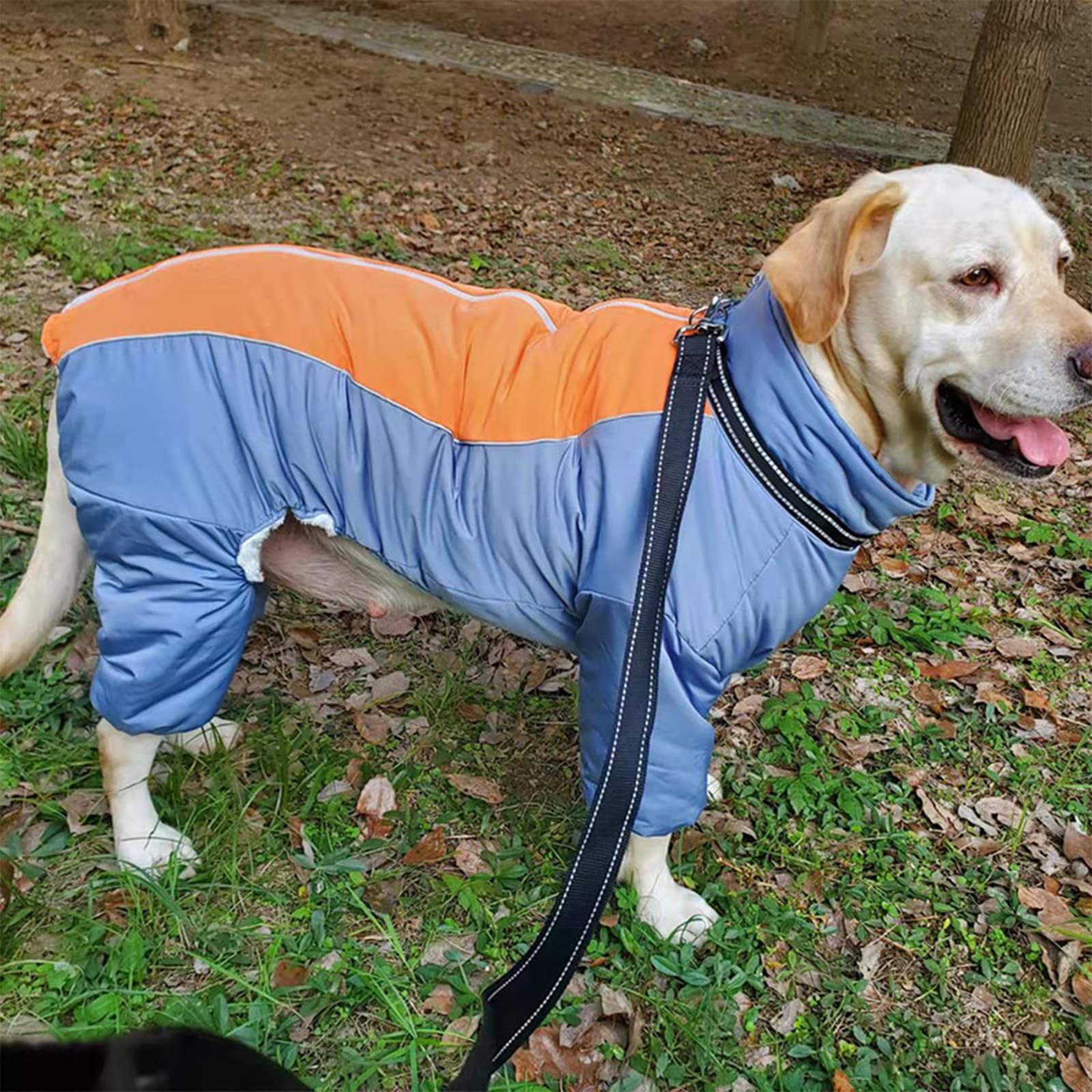 Toasty - Abrigo cálido de cuerpo completo para perros, chaquetas de nieve reflectantes resistentes al viento para perro, con cremallera, forro grueso y anillo para correa, azul neblina, 16