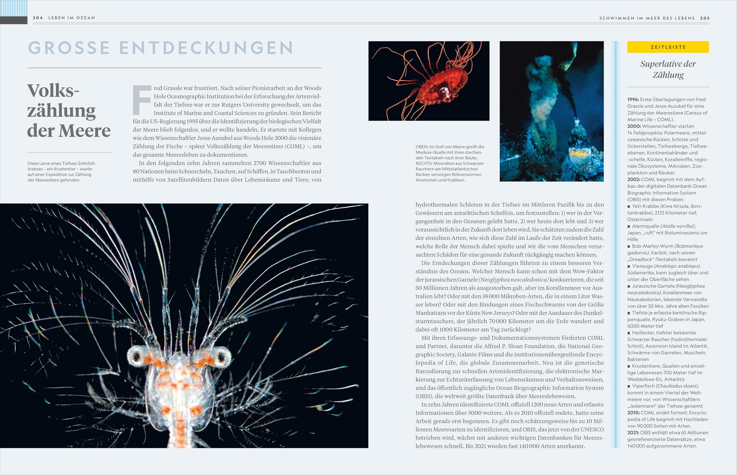 National Geographic Buch der OZEANE: Eine Liebeserklärung an den schönsten Lebensraum der Erde.