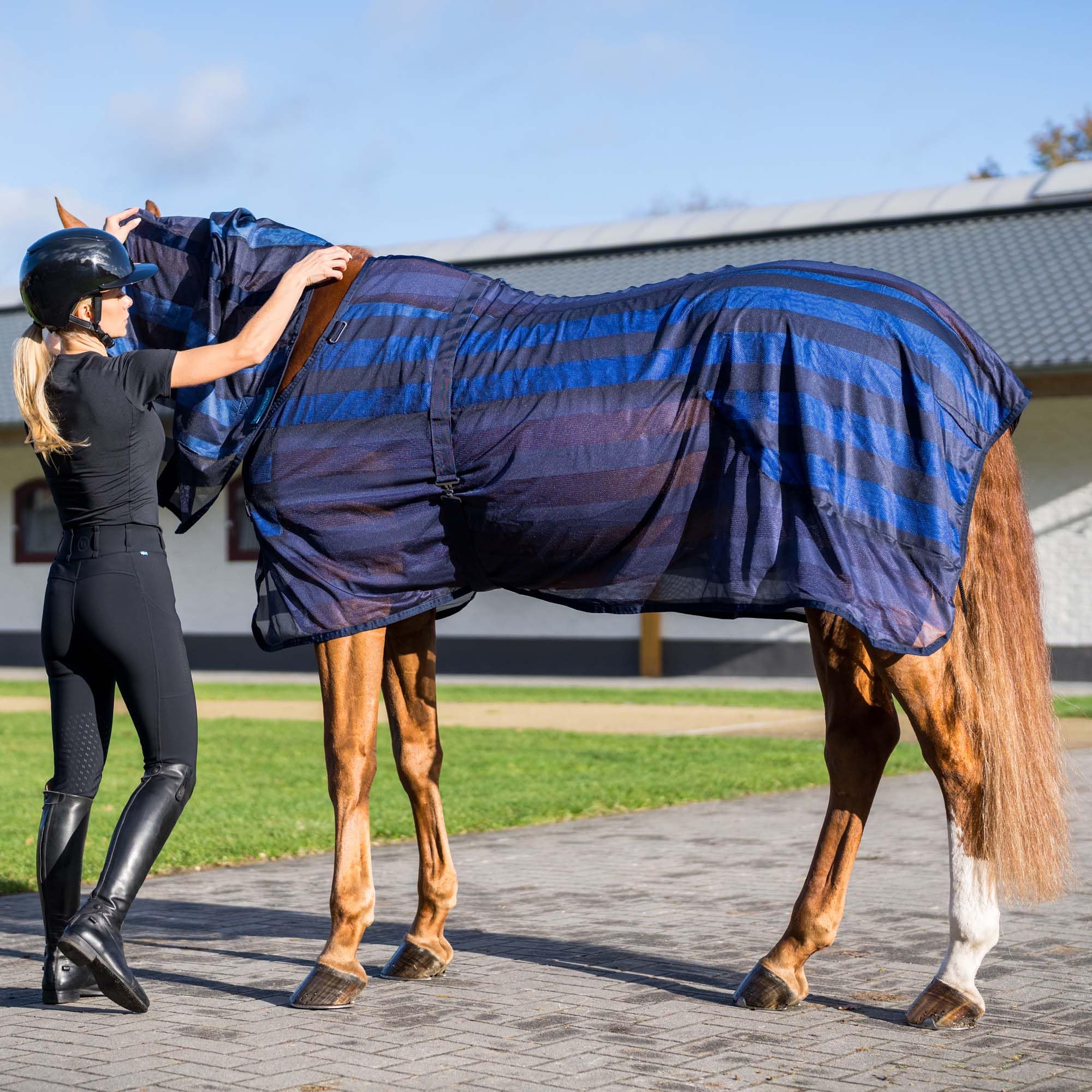Back on Track® - Manta Cool on Track® para caballos de refrigeración | Tejido de malla 3D / Material Cool on Track® | Color: Azul/Negro (155)