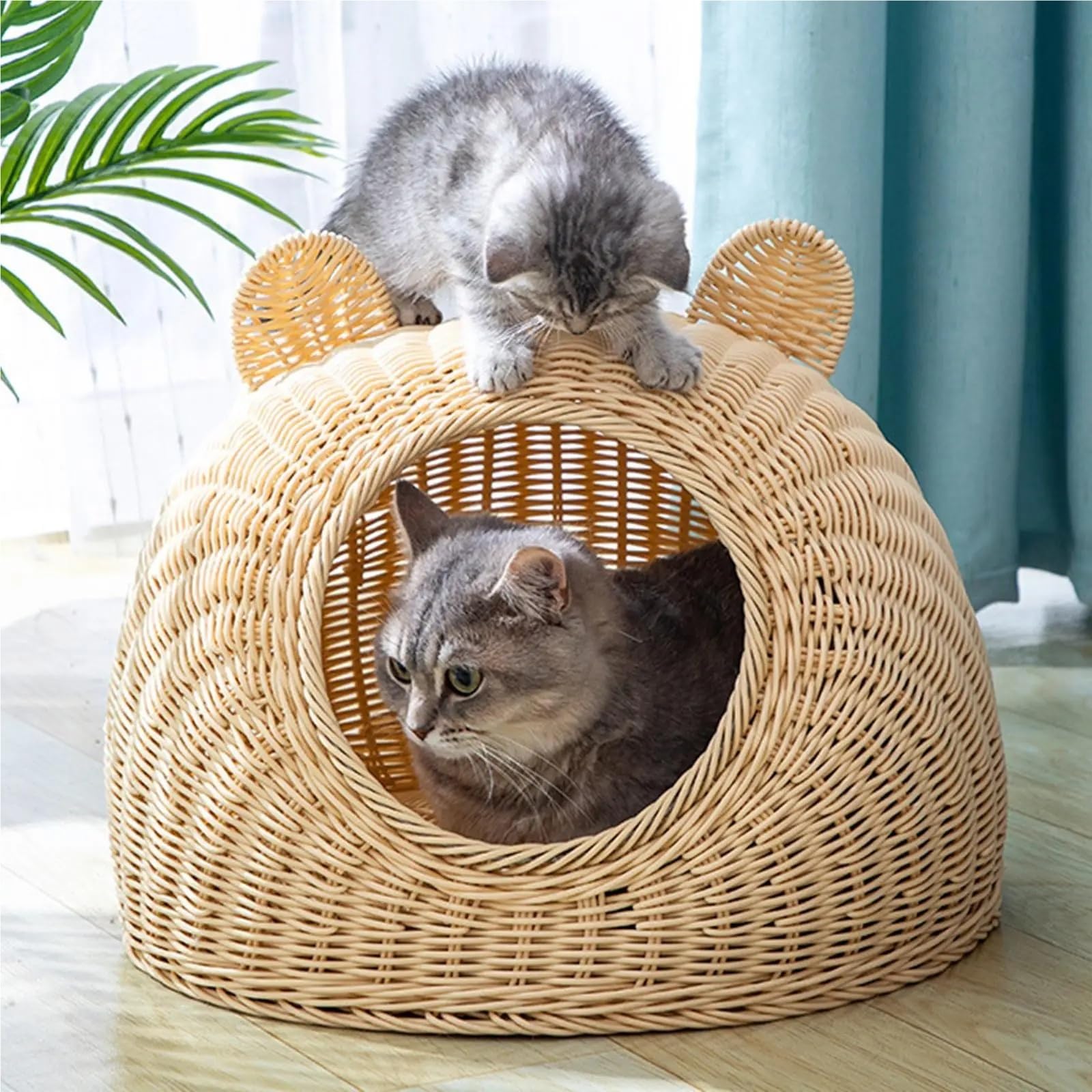 Cuccia rattan intrecciata, nascondiglio semichiuso, per gattini
