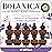 Botanica by Air Wick Plug in Scented Oil Refill, 10ct, French Lavender and Honey Blossom, Air Freshener, Eco Friendly, Essential Oils