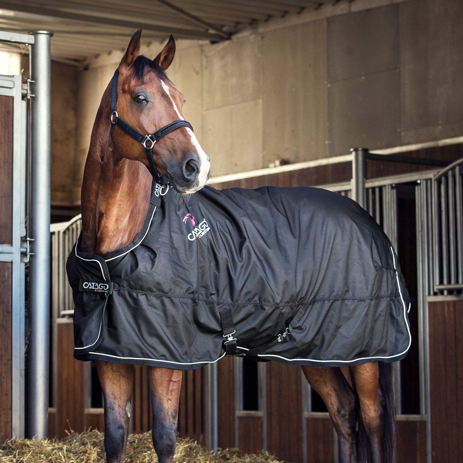 Couverture cheval : comment bien la choisir