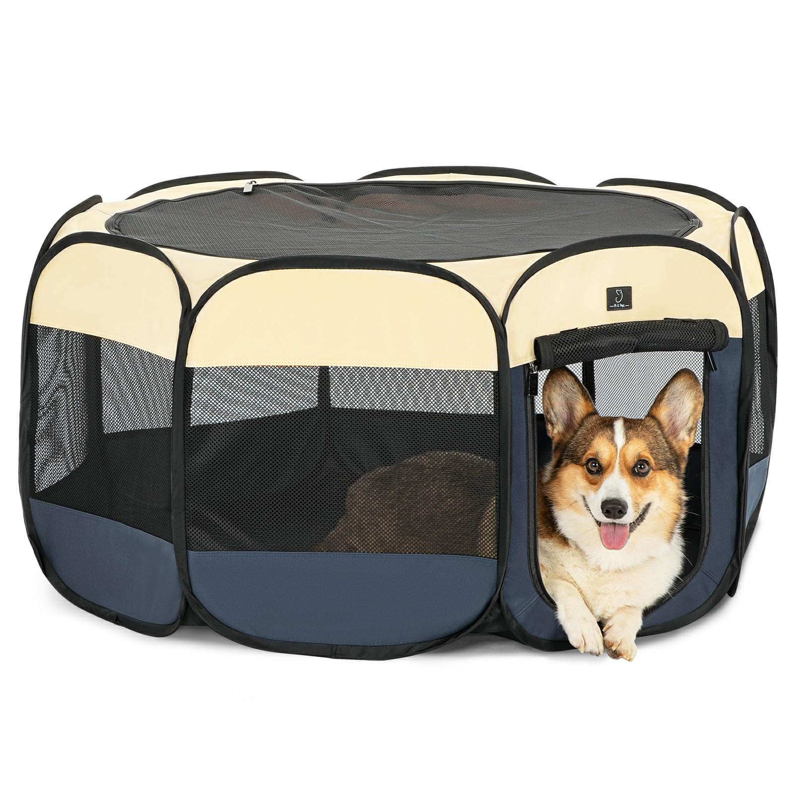 https://m.media-amazon.com/images/I/818CIBSv3ML.jpg