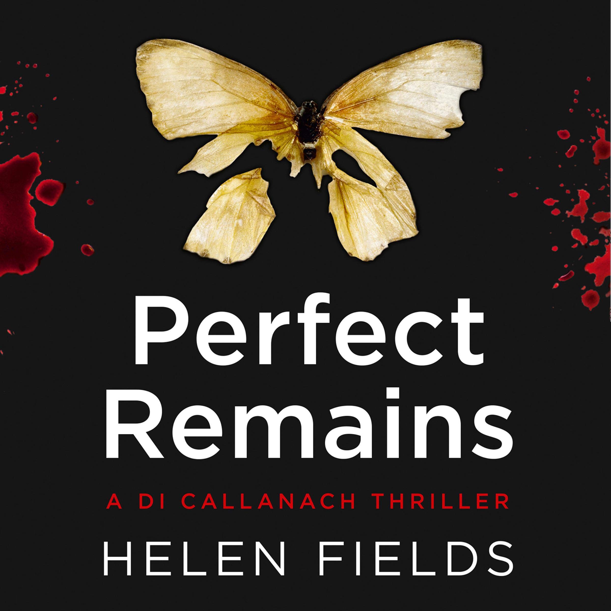 Cover art for Perfect Remains