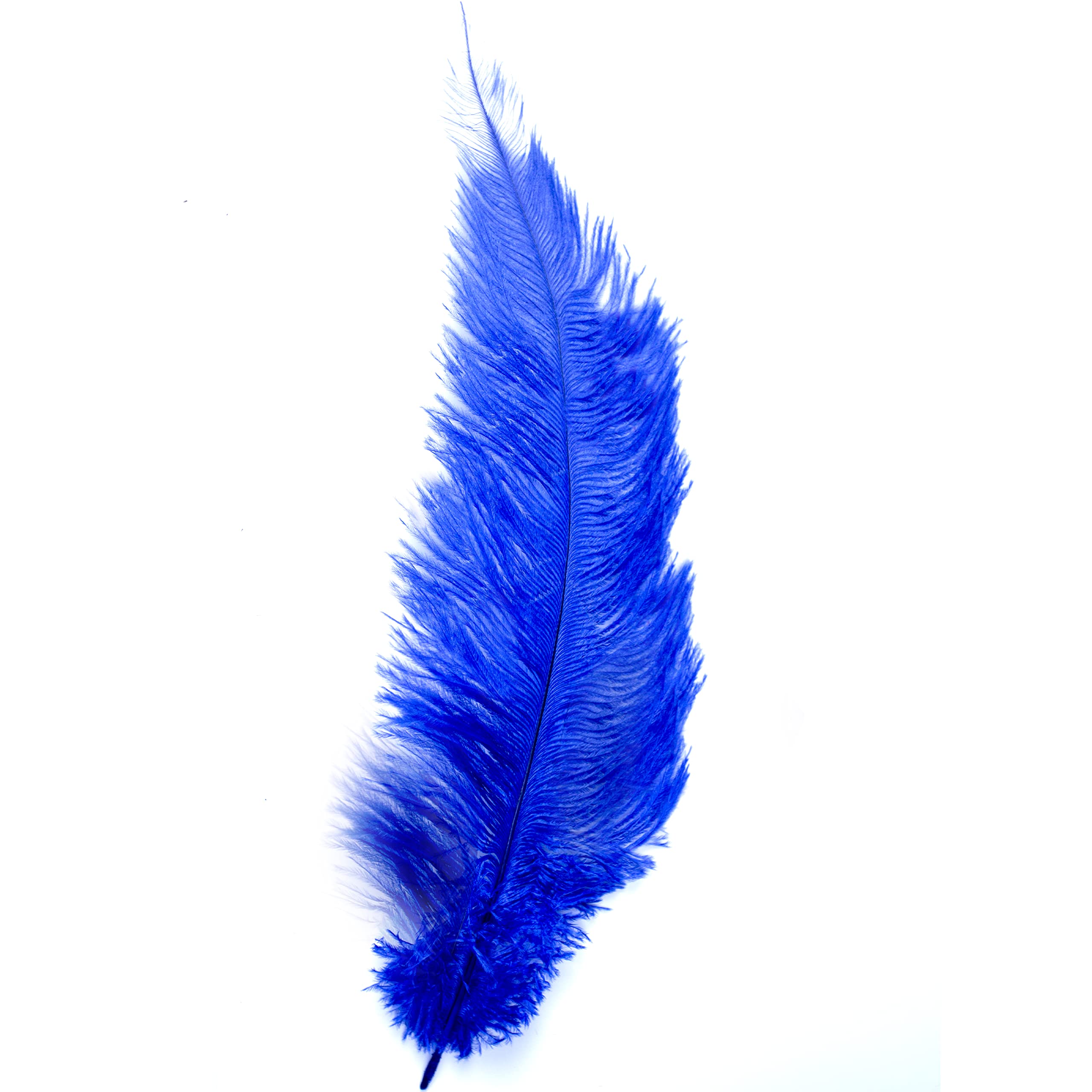 Ostrich Feathers - 10" - 12" / 25cm - 30cm - Pick Quantity / 25 Colours (Royal Blue, 6 x Ostrich Feathers)