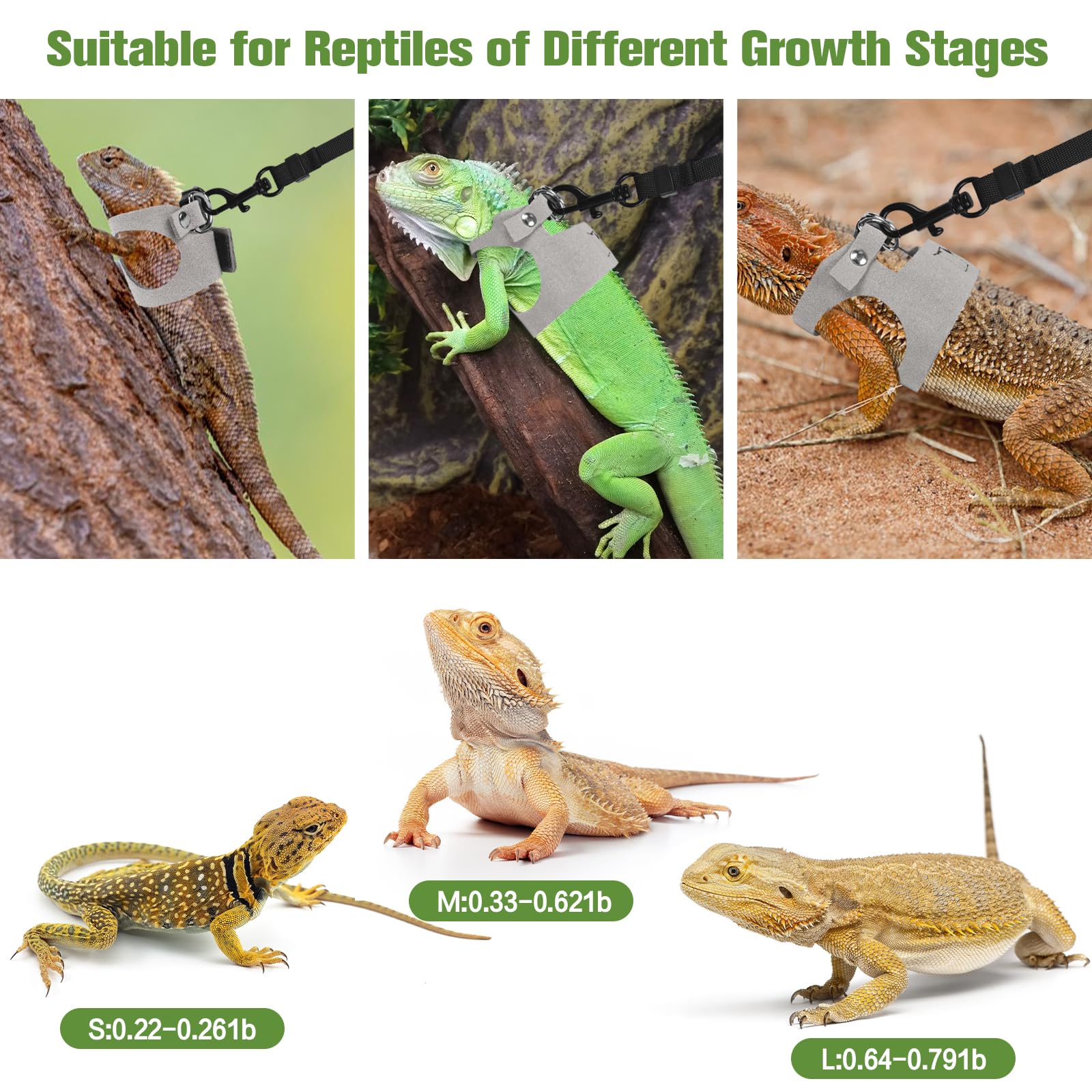 Ensemble harnais et laisse pour dragon barbu - 3 tailles ajustables - Gilet en cuir d'entraînement et de promenade pour lézards - Corde de traction anti-évasion pour petits reptiles