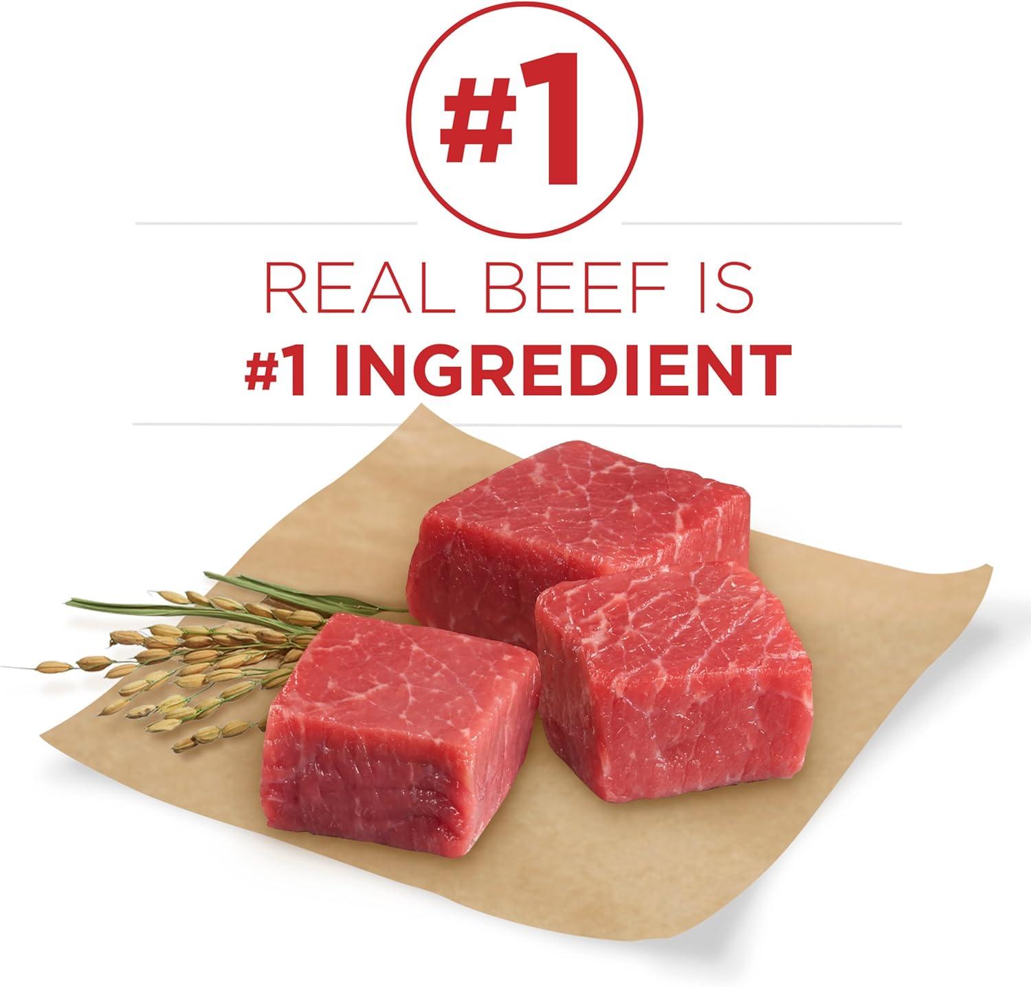 Purina ONE Natural Dry Dog Food; SmartBlend Small Bites Beef & Rice Formula - 8 lb. Bag : Everything Else