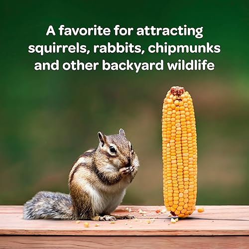 Miniatura 2 de Kaytee Maíz en la Mazorca, 6.5 lb