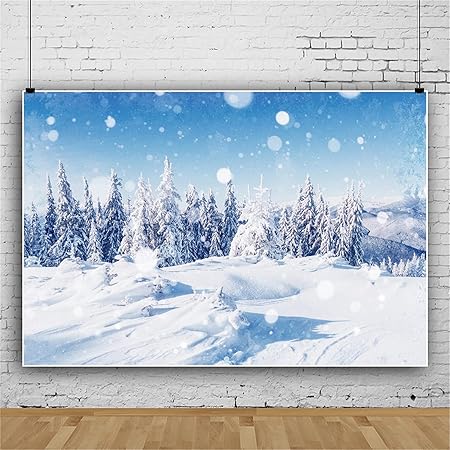 Amazon Qinunipoto 背景布 冬の景色 雪の森 玉ボケ 1 5x1m 記念撮影 写真撮影用 写真の背景 写真館 インスタ写真 パーティーの装飾 パーティー背景 肖像画 自宅撮影 写真スタジオ背景 ポリエステル製 Qinunipoto 家電 カメラ