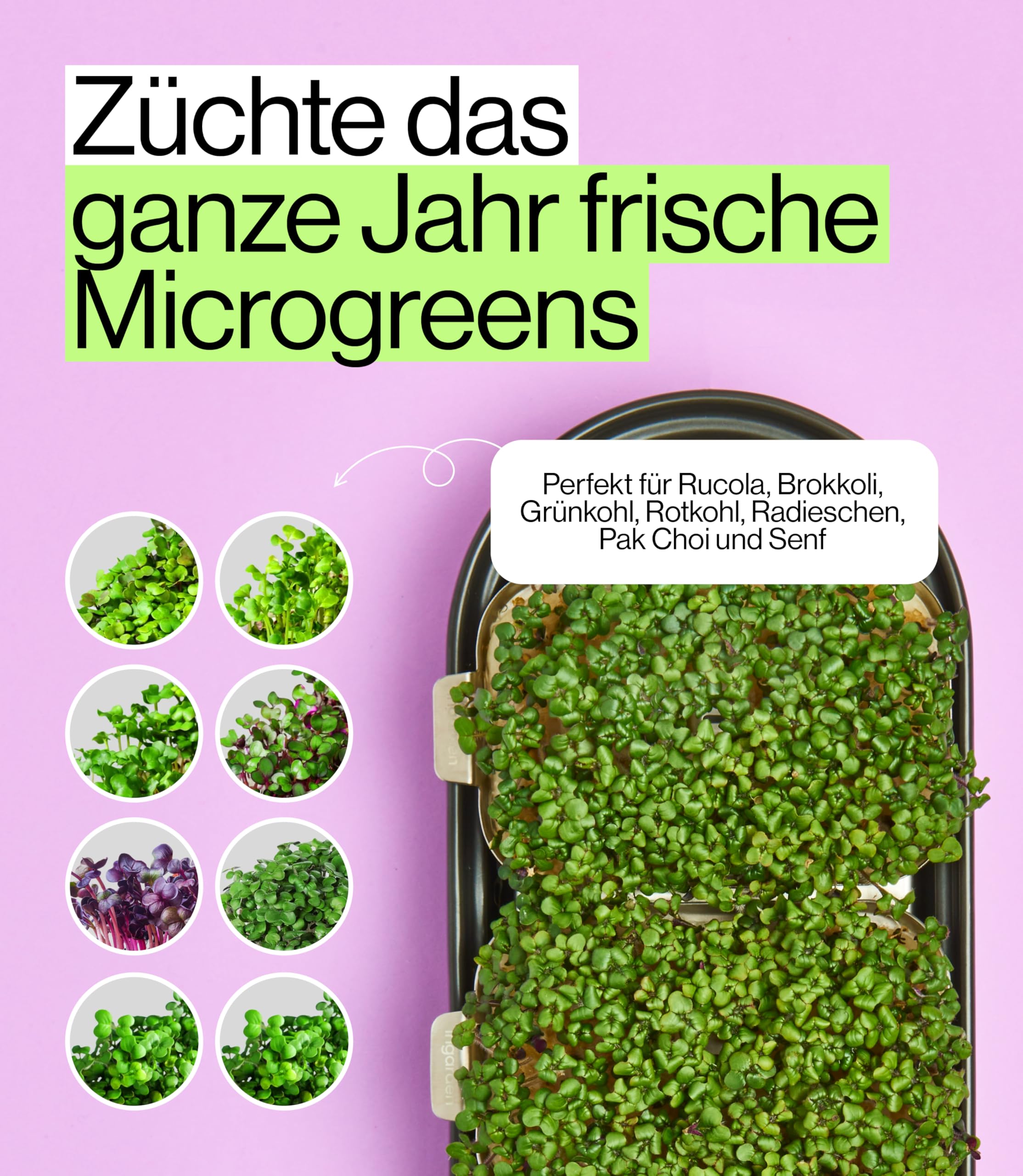 Smart Garden zestaw startowy – Indoor Garden z diodami LED do mikrozielonych – w zestawie 12 ekologicznych nasion – miska z ceramiki w kolorze wulkanicznej czerni – skandynawskie wzornictwo