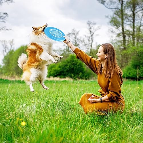 Miniatura 6 de Eastgoing Ultimate Flying Disc - Disco deportivo de 6.17 oz, 10.75 pulgadas, un montón de colores disponibles, adecuado para competiciones, disco