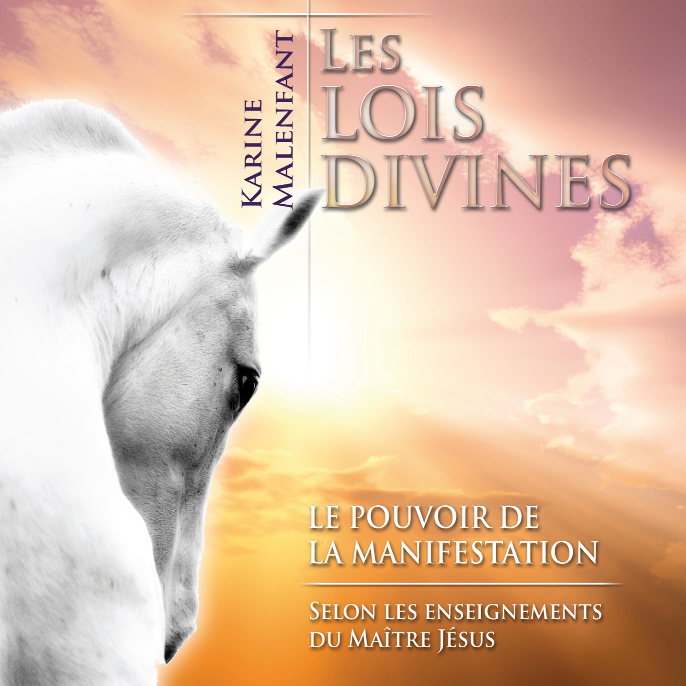 Les lois divines Malenfant, Karine