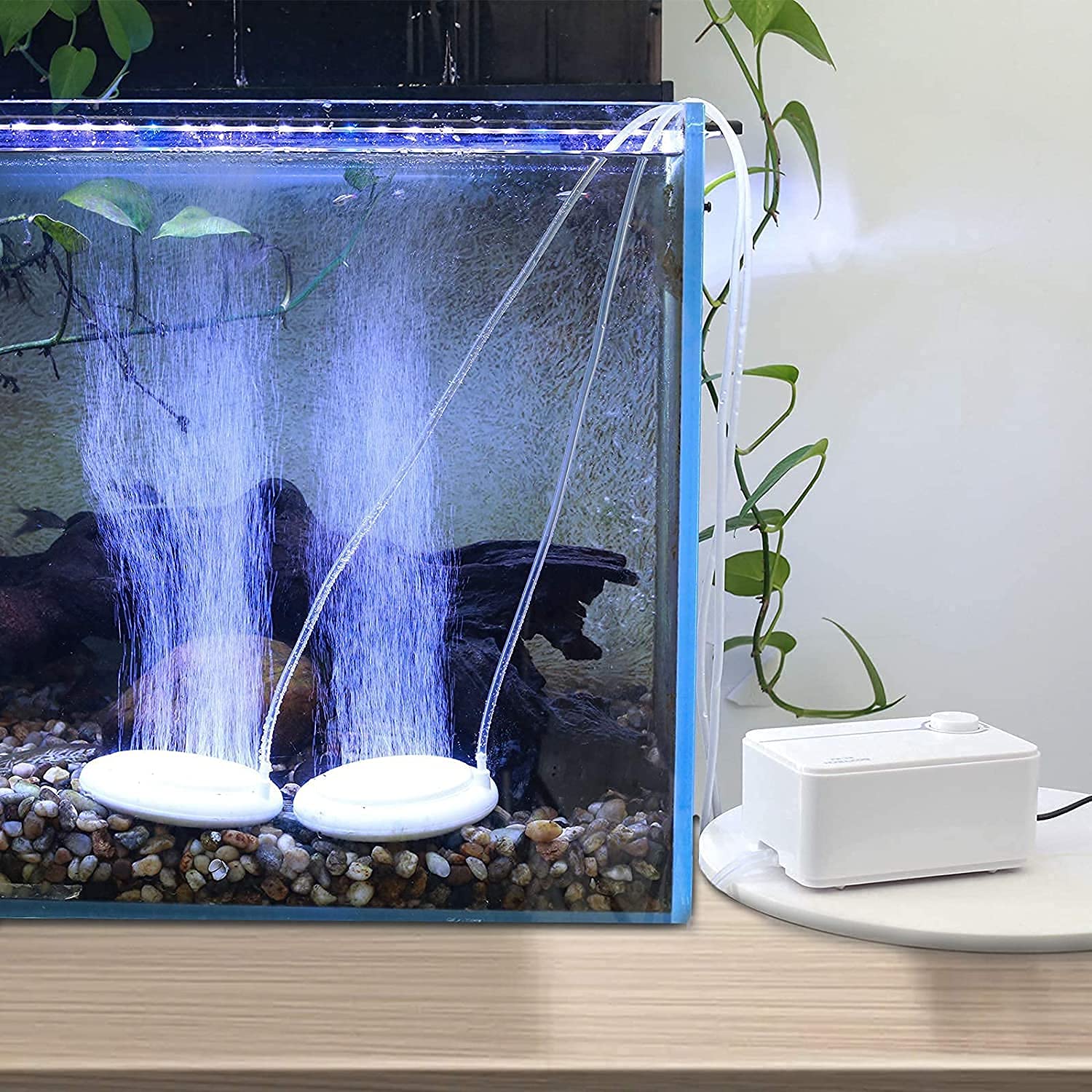 boxtech Pompa ad aria per acquario, 5 Watt, pompa per ossigeno regolabile, 2 prese d'aria. Pompa a membrana regolabile, pompa per pesci per acquari