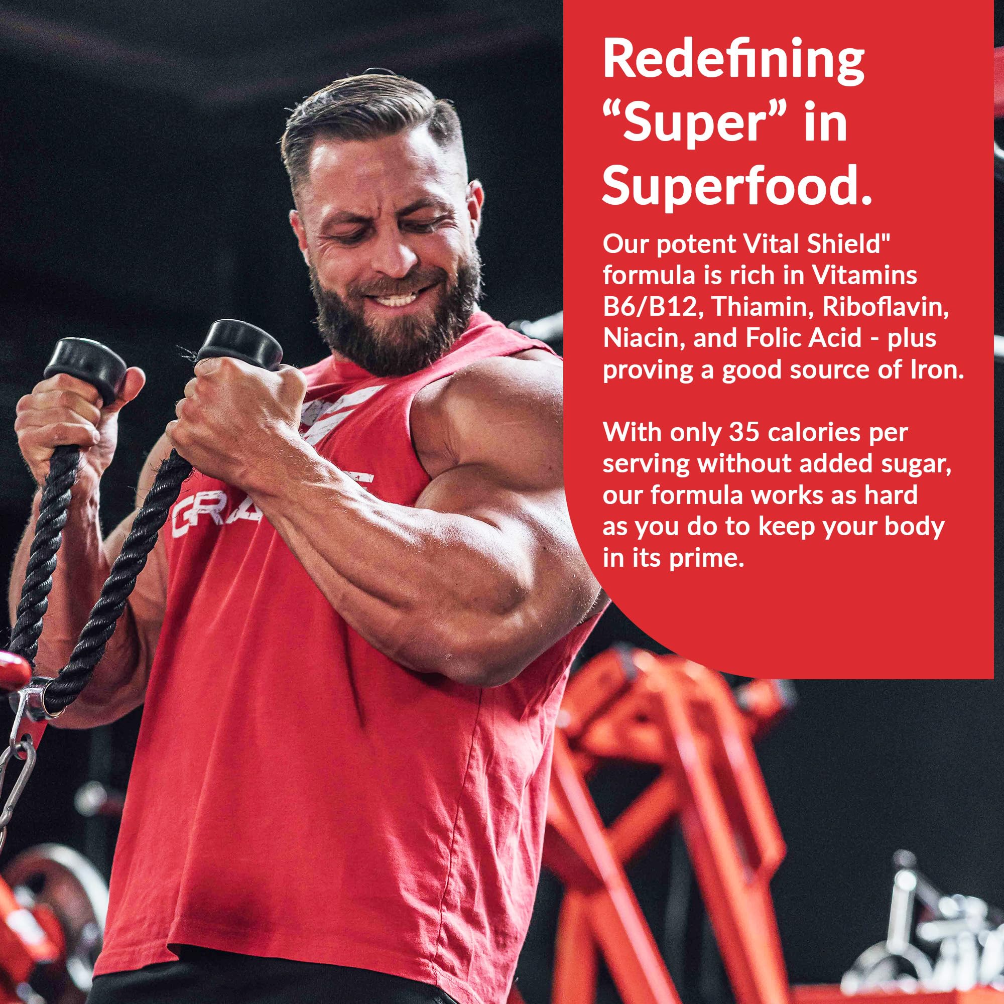 (inv) Granite Nutrition Vital Shield - USDA Organic Superfood Greens with Mushrooms & Tart Cherry for Energy, Immunity & Gut Health - Very Berry (30 Servings)