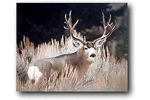 Stunning Wall Art Featuring a Majestic Mule Deer