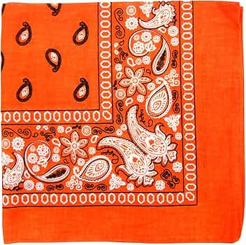 新品未使用 TIMEWORN CLOTHING BANDANA ORANGE Austin Paisley Bandana - Orange – RADAZZ Apparel