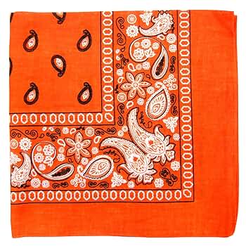 Amazon.com: Paisley One Dozen Cowboy Bandanas (Orange, 22 X