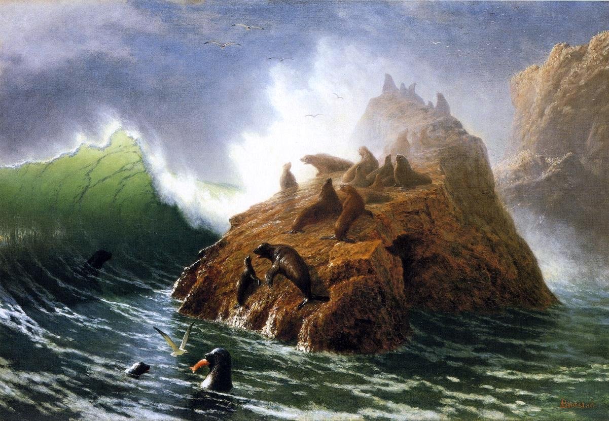 アイルランド 聖なる泉 写真集「Fish Stone Water」ケルト Amazon.com: Art Oyster Albert Bierstadt Seal Rock - 16