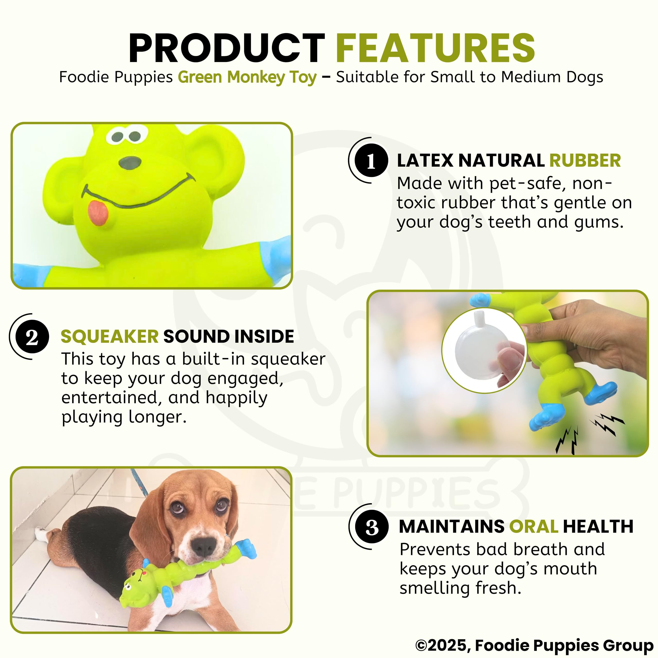 Foodie Puppies Interactive Latex Squeaky Chew Dog Toy - (Green Monkey, 20cm) | Small to Medium Dogs & Puppies | Durable, Rubber, Non-Toxic, Animal Design Playing & Fetching Pet Toy | Reduce Anxiety 2
