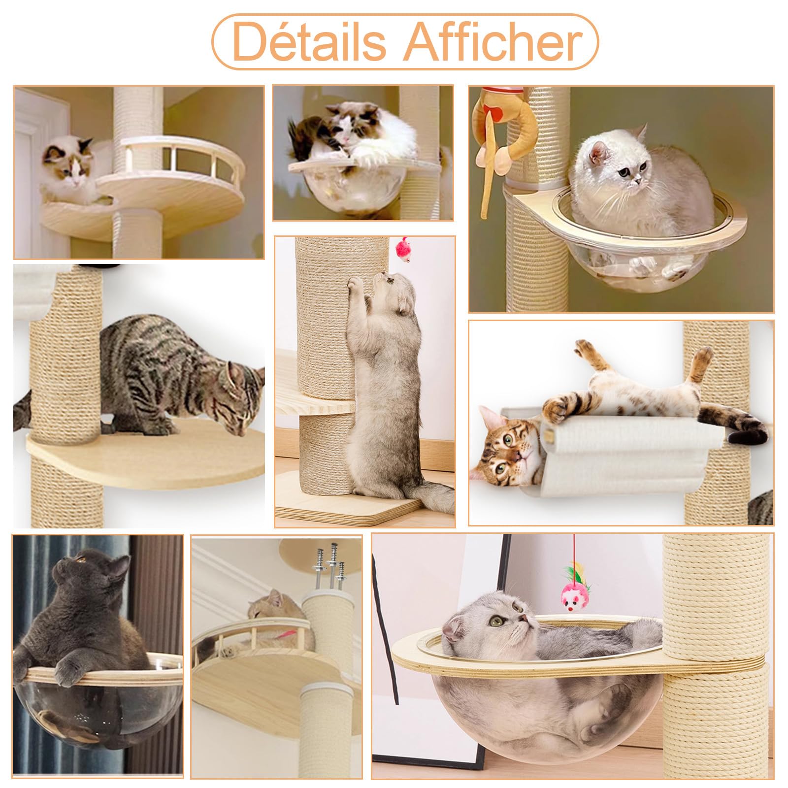 Arbre à Chat Plafond Réglable 300 cm – Grand Arbre à Chat avec Hamac, Niche et Plateformes pour Chats d’Intérieur et Maine Coon