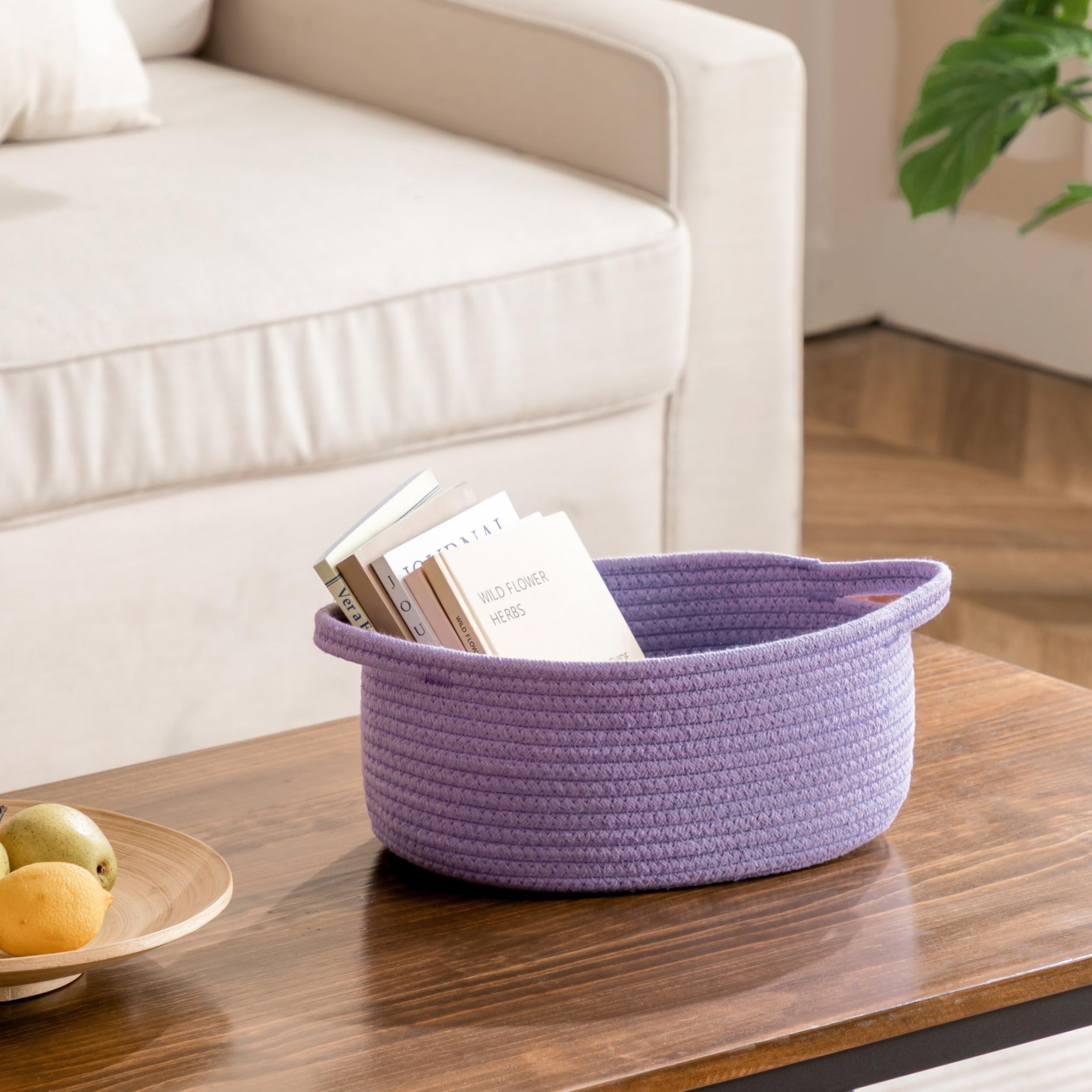 Petit Panier Tissé En Corde De Coton - Panier De Rangement, Cadeau, Organisation (Noir, Forme Ovale, Poignée)