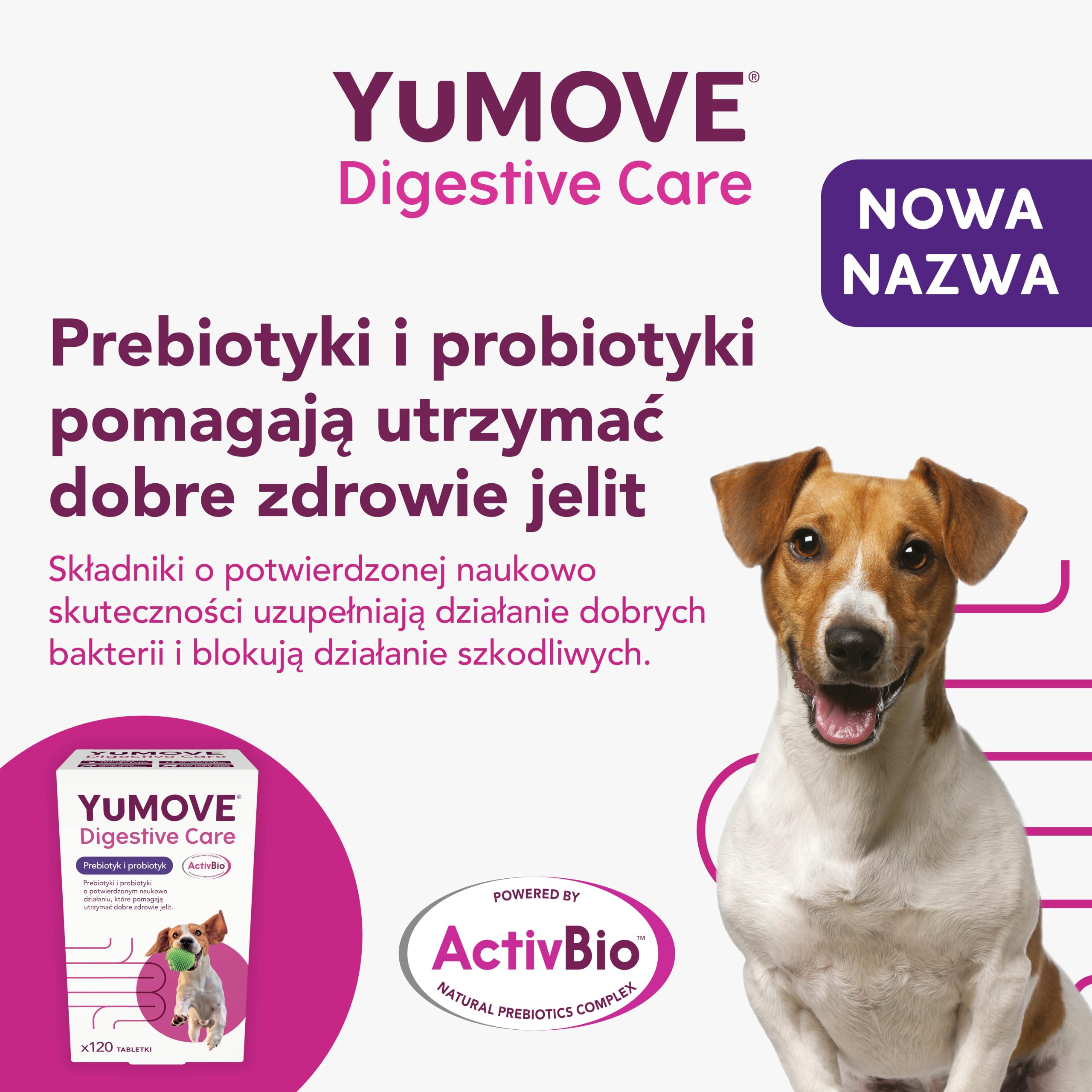 Yumove Pre- I Probiotyk Dla Psów ActivBio - 120 Tabletek Na Jelita | Patent W Toku, 200 M Cultures E. Faecium, Beta-Glukany, Równowaga Flory Jelitowej, Poparte Nauką, Polecane Przez Weterynarzy