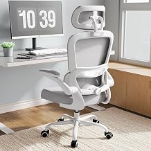 TRALT Ergonomic Office Chair with Adjustable Lumbar Support Headrest Gaming Chair Office Chair Desk Chair Home Office Chair Ergonomic 150 kg for Large People Grey