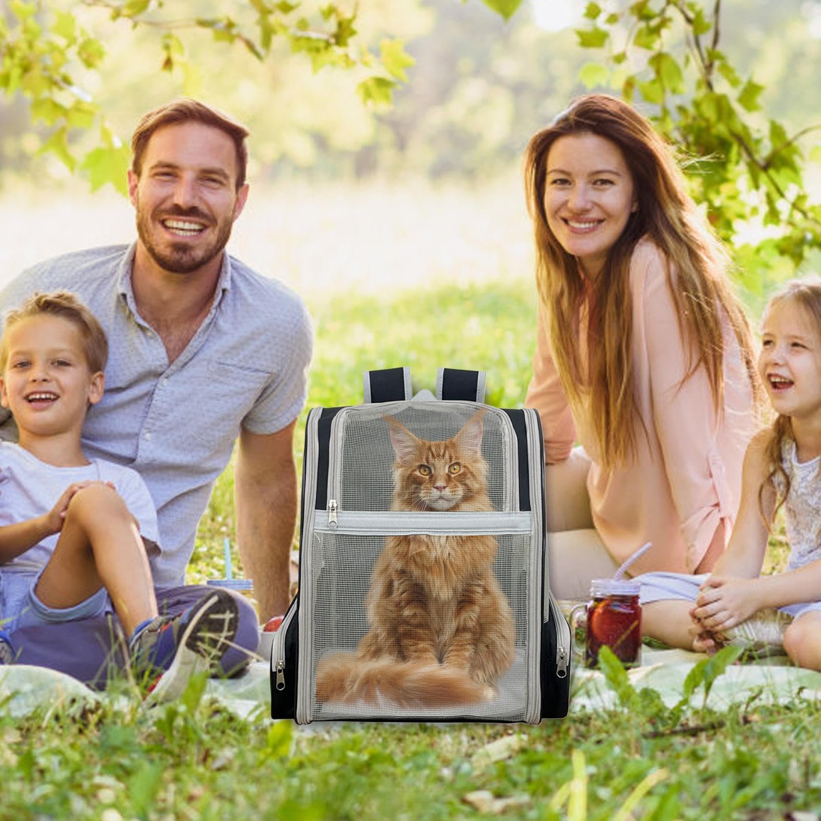 Rucksack Cat Carrier, Katzen -Rucksack Pet Wander -Rucksack -Reisetasche