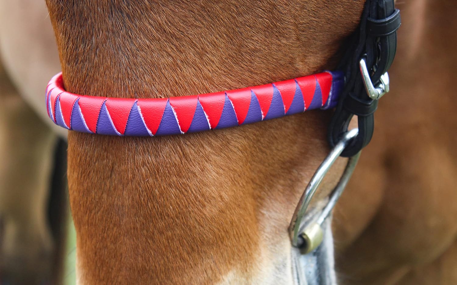 Tack Shack of Ocala Custom Noseband, Noseband for Horses, Nosebands for Bridles, Noseband for Bridles for Horses, Leather Noseband