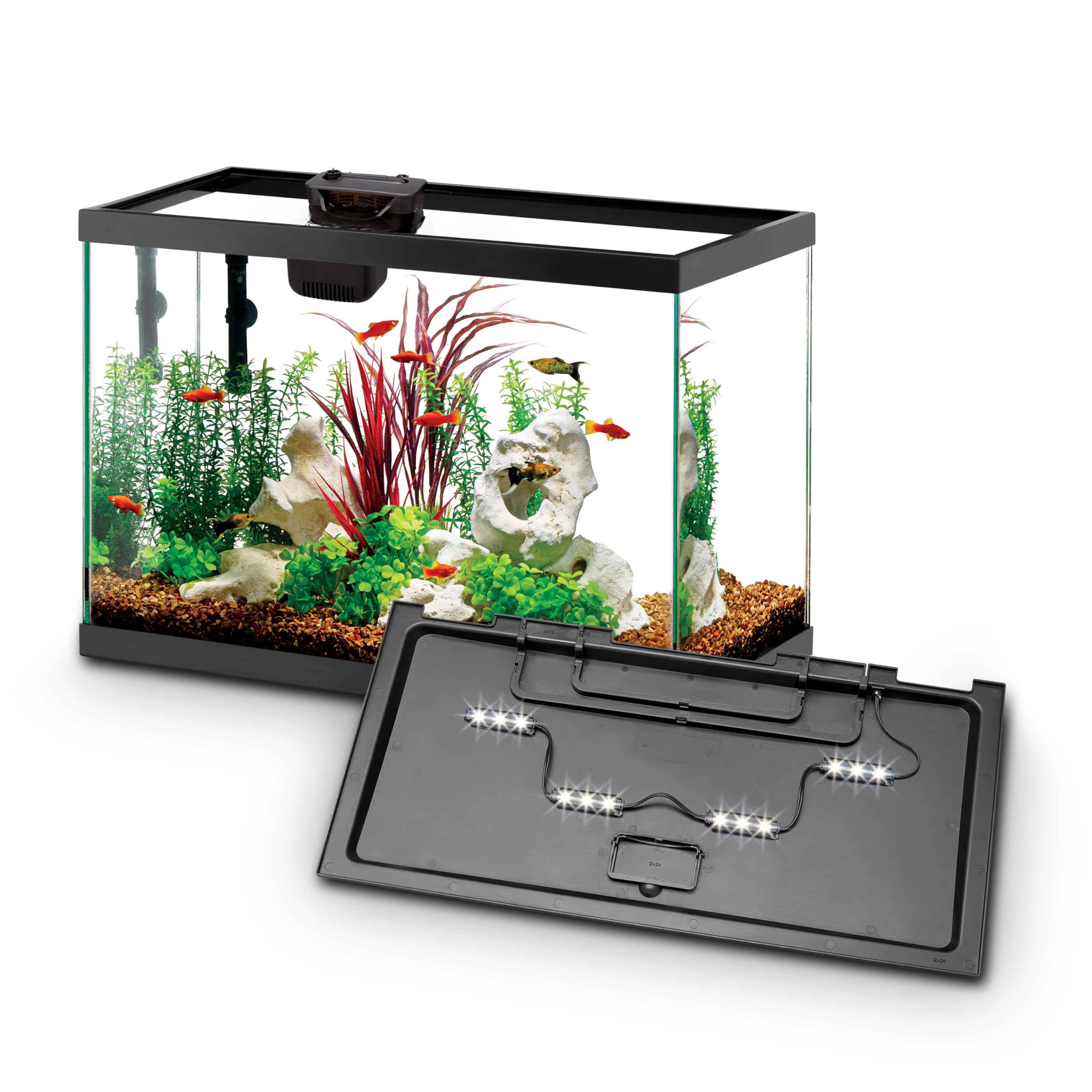 Aqueon 20 Gal Starter