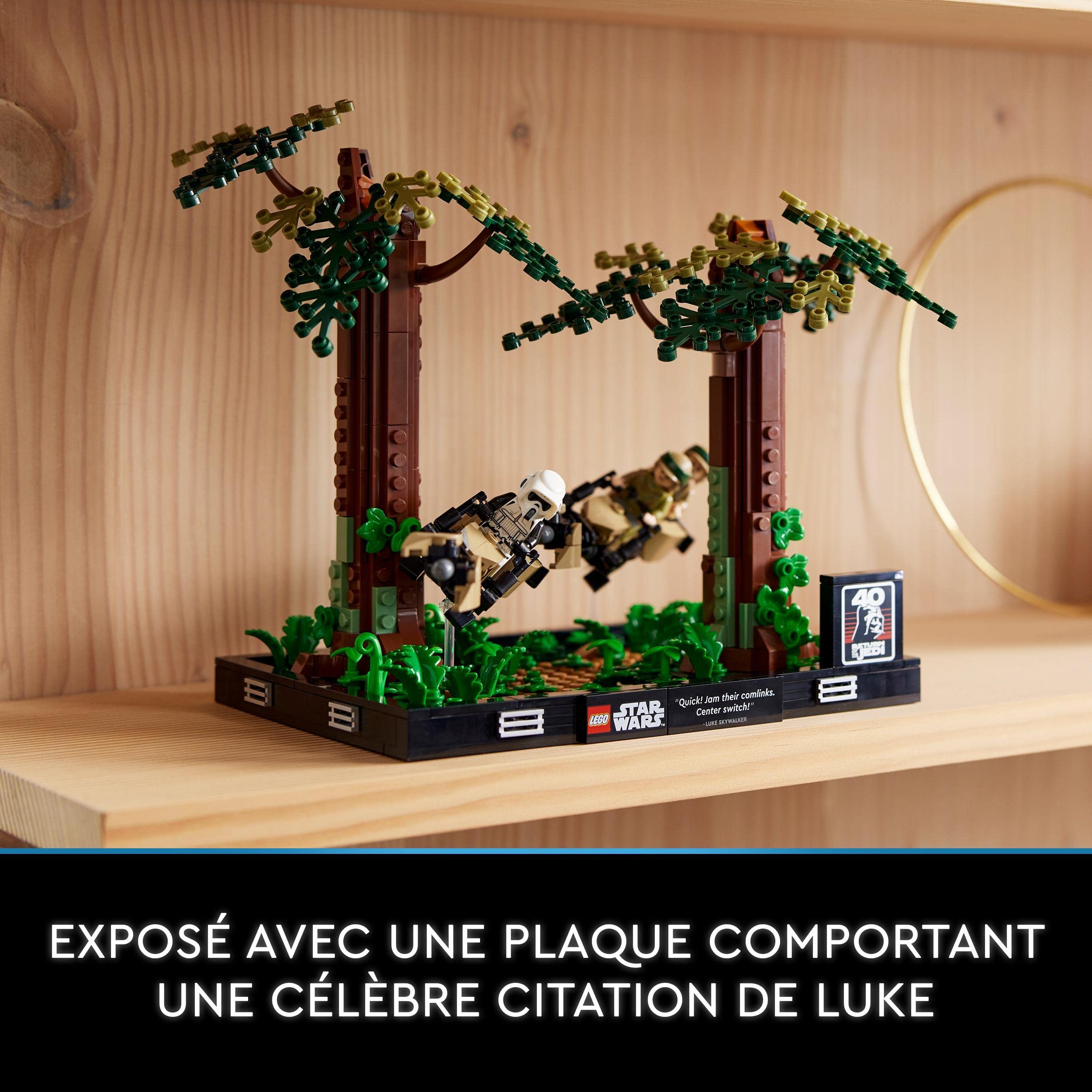 LEGO Star Wars Diorama de la Course-Poursuite en Speeder sur Endor - Maquette et Modélisme avec Luke Skywalker, Princesse Leia et Scout Trooper Plus Speeder Bikes - Collection Le Retour du Jedi 75353