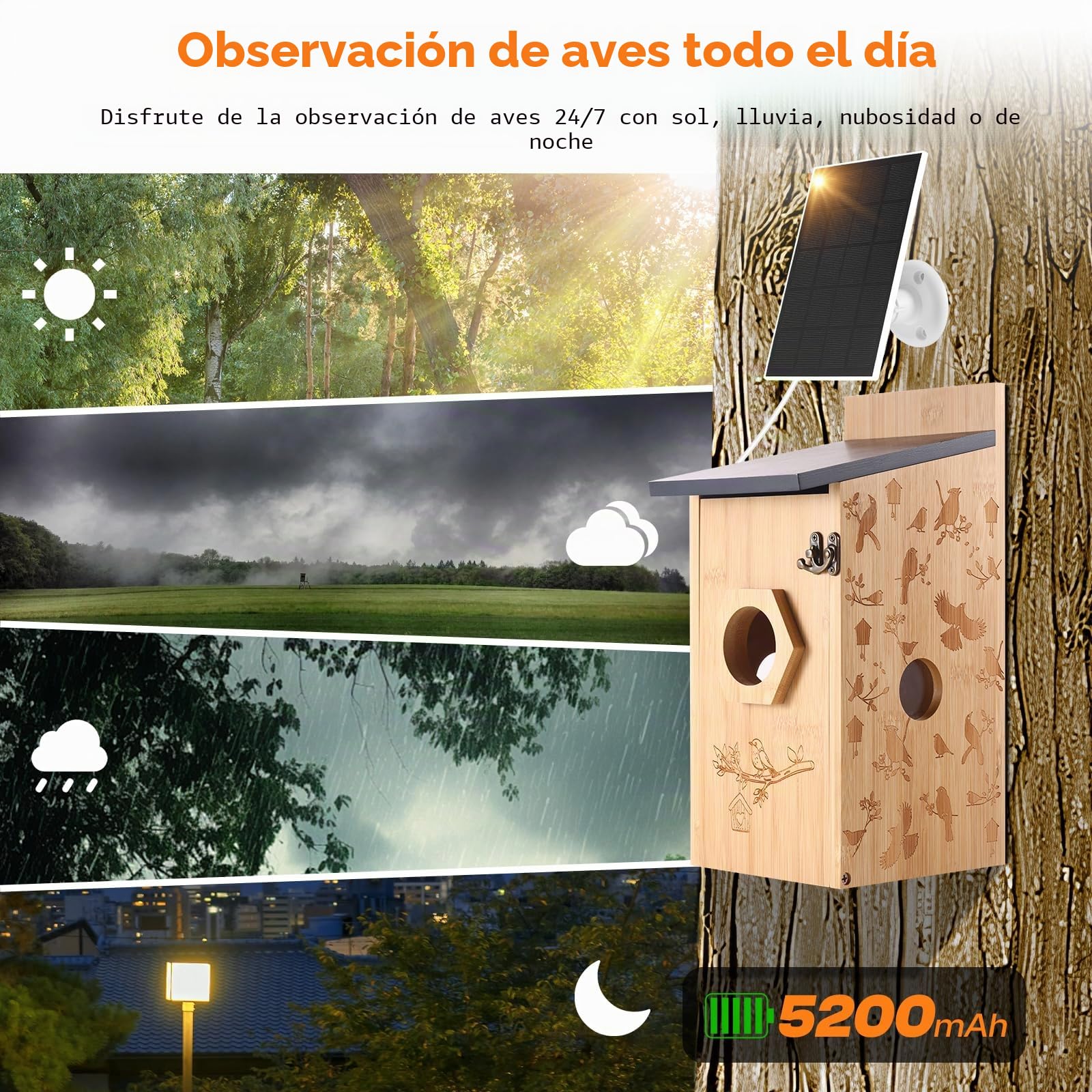 Pajarera con cámara solar 3K, nido para pájaros para exteriores, resistente a la intemperie, 2,4 G WiFi y notificación de aplicación, grabación de vídeo/foto y detección de movimiento, observa la