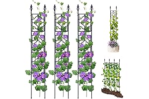 Outdoors 65 Inch Narrow Trellis for Climbing Plants