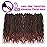 Bileaf Passion Twist Hair 24 Inch Pre-twisted Passion Twist Crochet Hair, Pre Looped Crochet Passion Twist Bohemian Crochet Braids 8 Packs T350