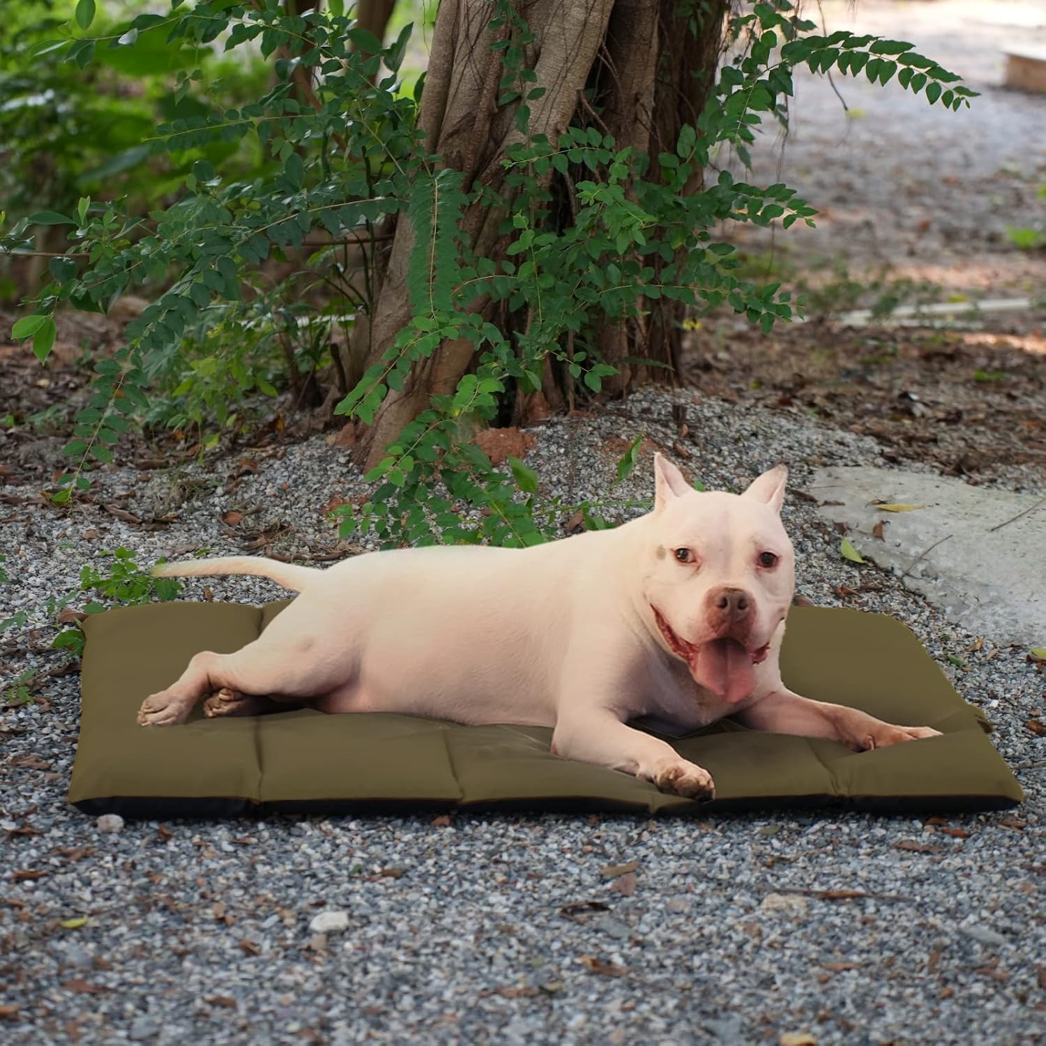 review Camping Dog Beds for Medium Large Dogs Portable Dog Bed Army Green Waterproof Outdoor Dog Bed Travel Dog Bed for Camping Chewy Dog Camping Gear for Camping Dog Bed.