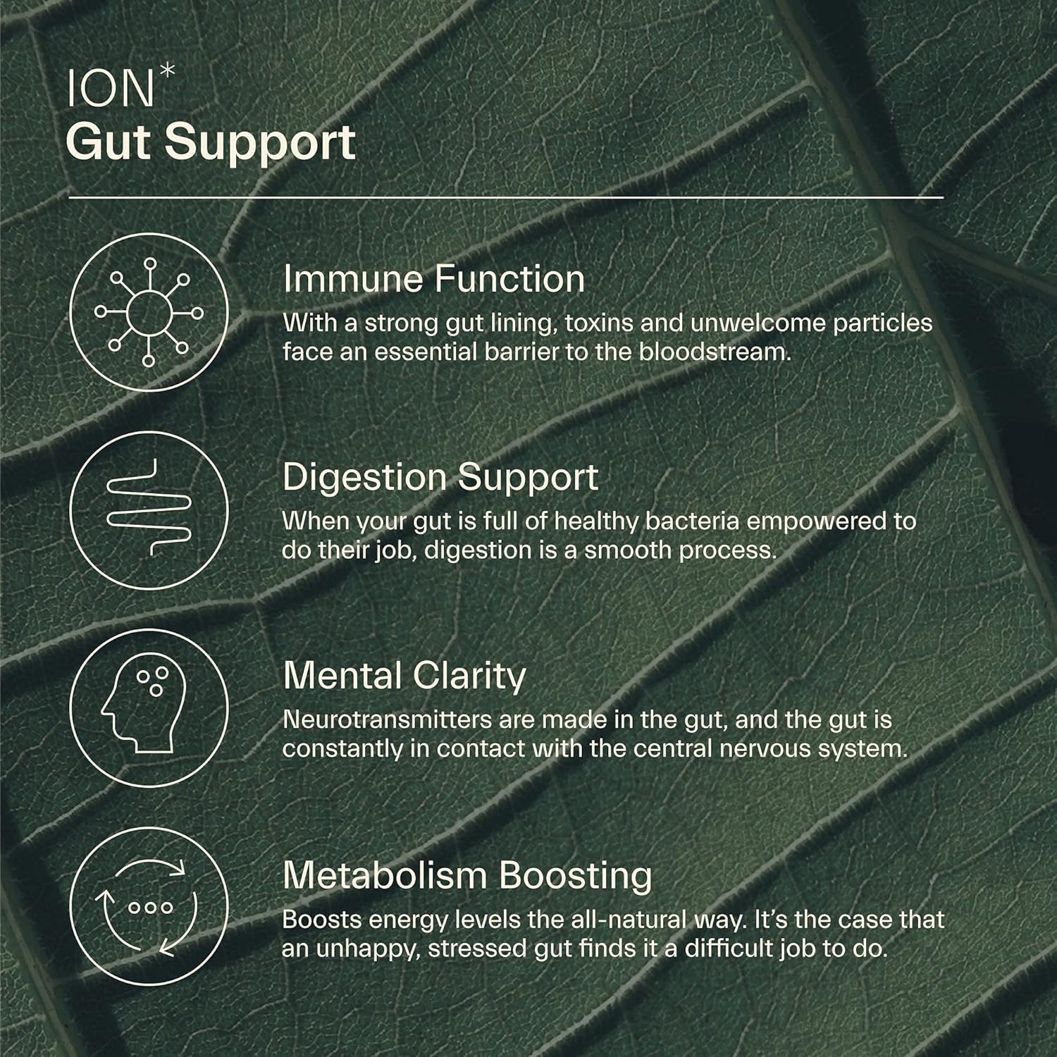 ION* Intelligence of Nature Gut Support | Promotes Digestive Wellness, Strengthens Immune Function, Alleviates Gluten Sensitivity, Enhances Mental Clarity | 2-Week Supply (8 oz.) : Health & Household