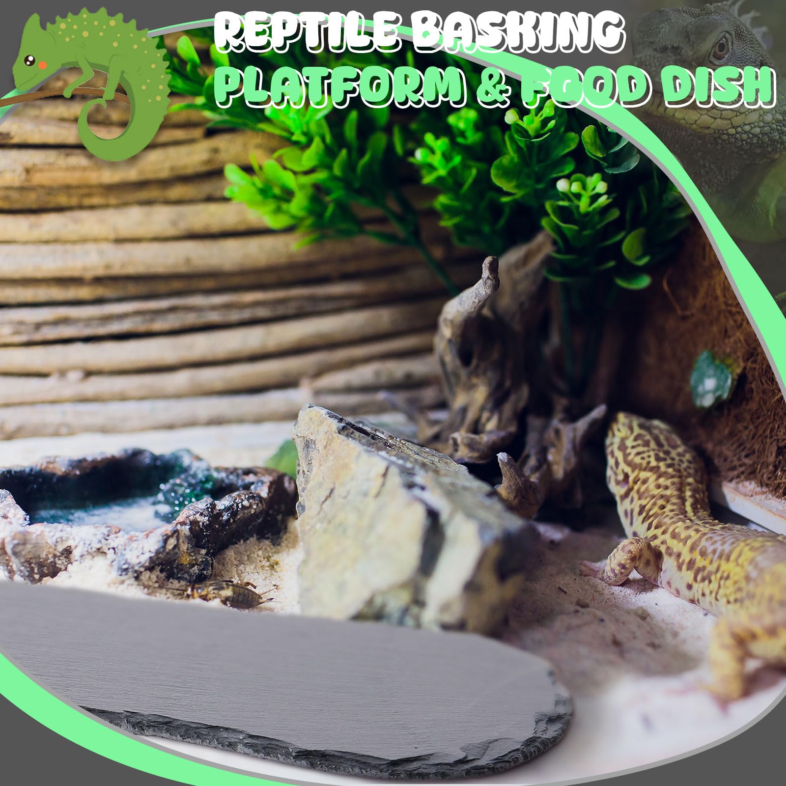 Slate Stone Feeding Platform Milisten Tortoise Platform Reptile Basking ...