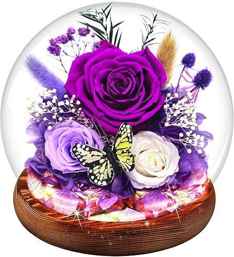 Miniatura 11 de Regalos de cumpleaños para mujeres, rosas reales rojas preservadas en cúpula de cristal, regalo de rosa para siempre, para su madre, esposa, novia,