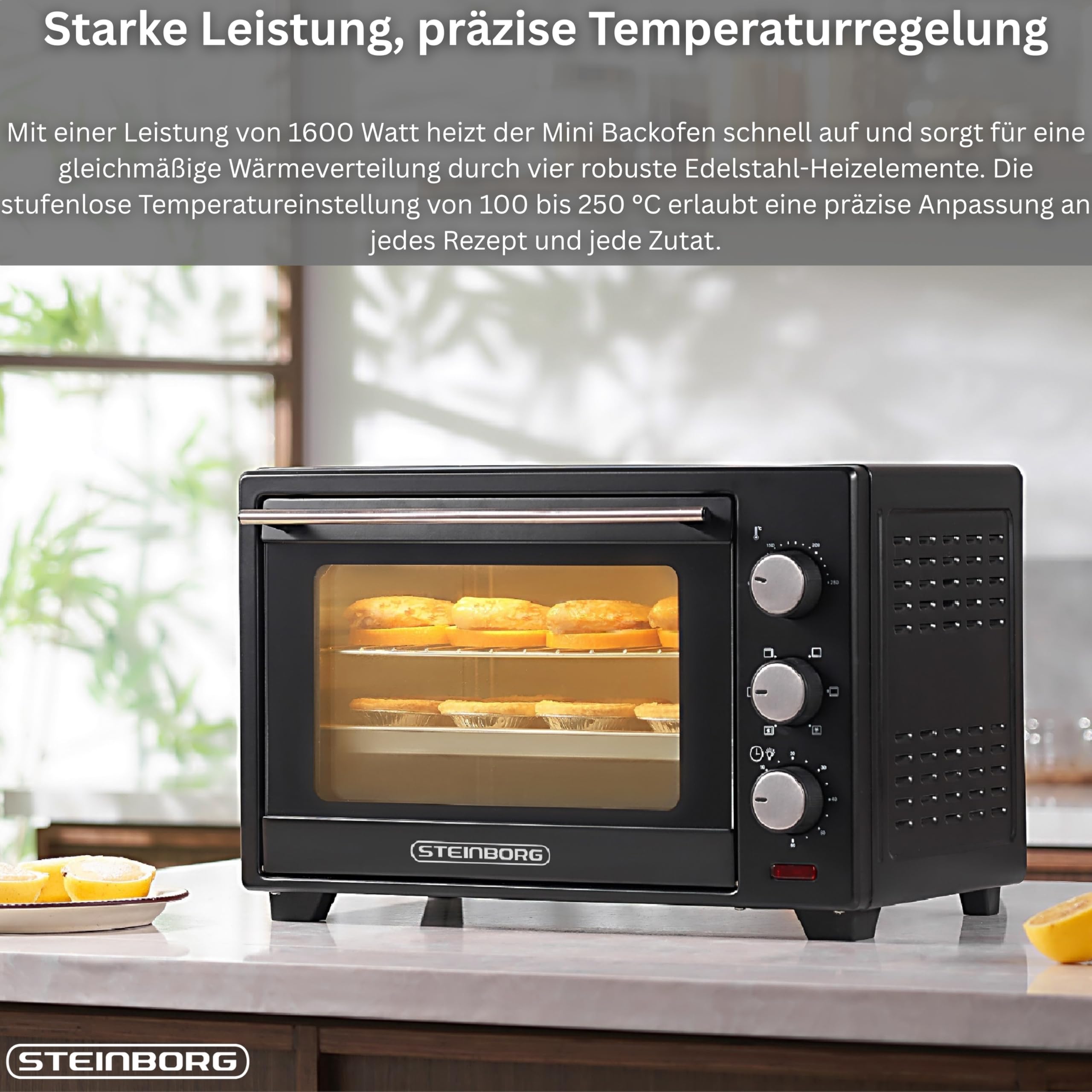 Steinborg® 25 Liter Mini Backofen mit Umluft Pizza Ofen inkl. Backblech und Grillrost Miniofen 60 Min. Timer – 1.600 Watt