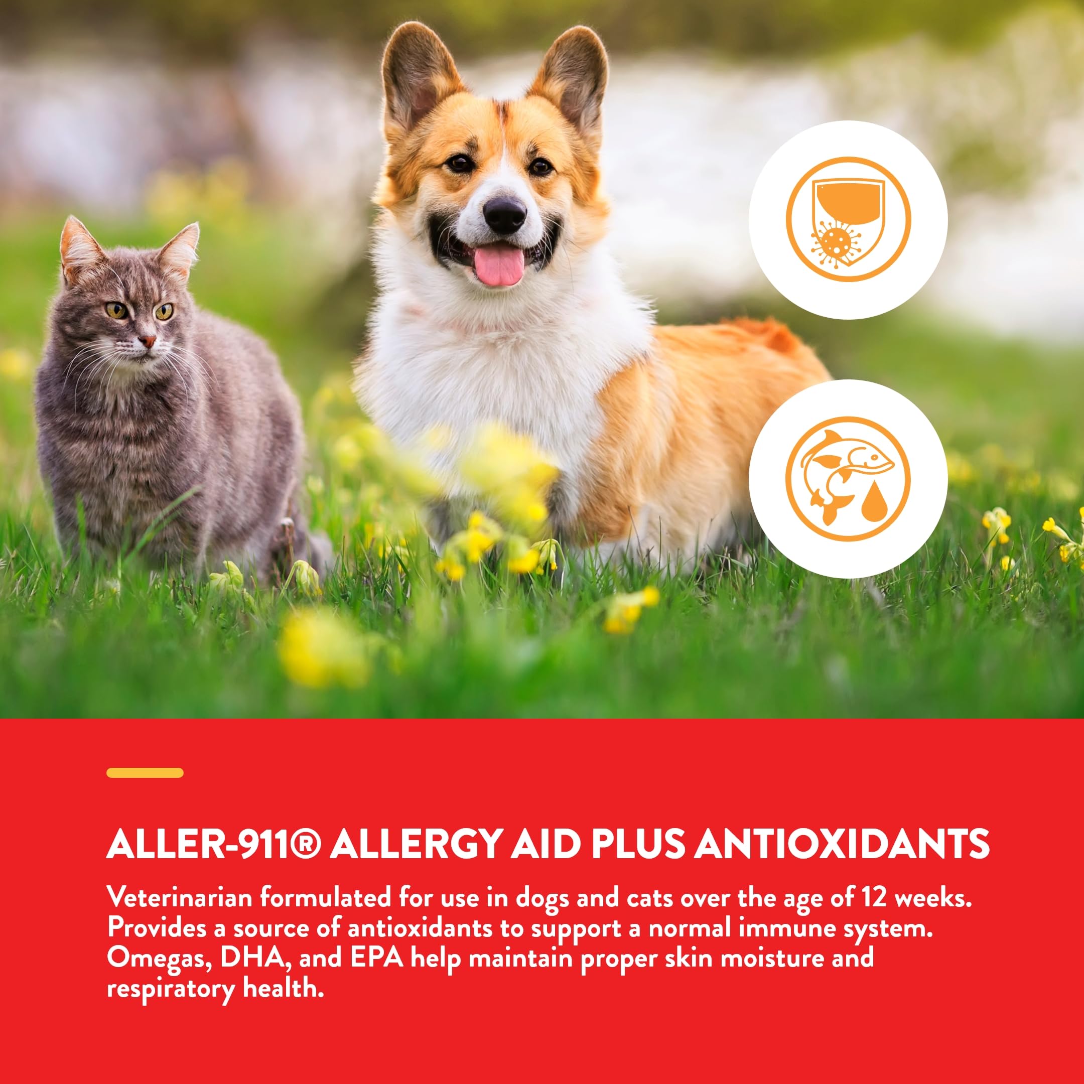 NaturVet Aller-911 Haut- und Fellallergiehilfe Formula Plus Antioxidantien für Hunde und Katzen, 60 Kautabletten