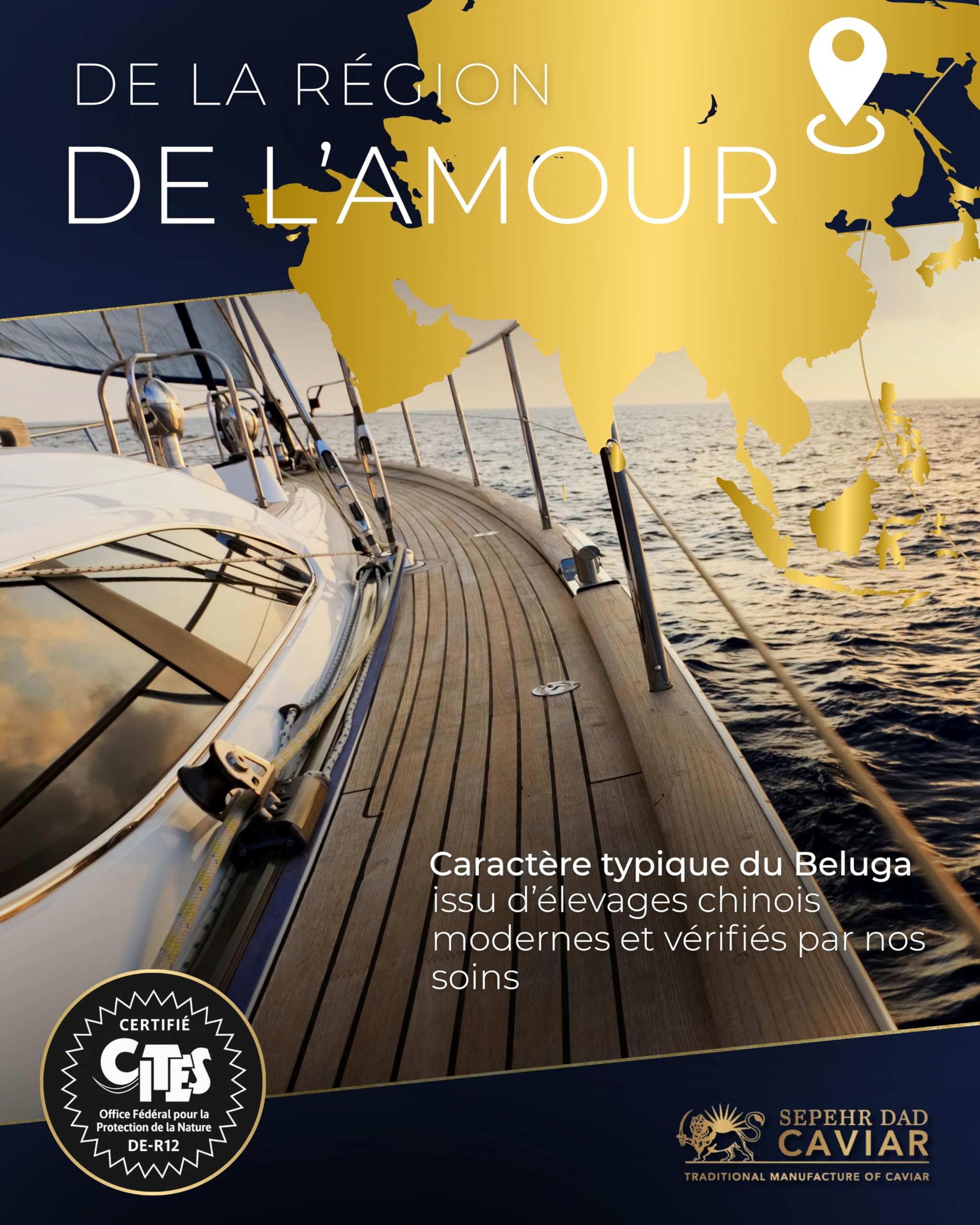 Sepehr Dad Caviar Beluga de l'Amour | Oeufs de poisson de classe A | CN d'élevage | 50g