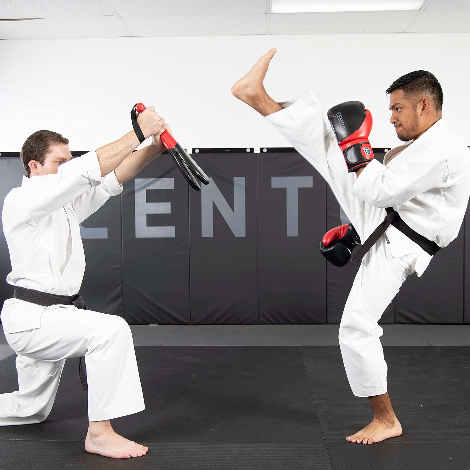 Double Target Drive by Century Martial Arts