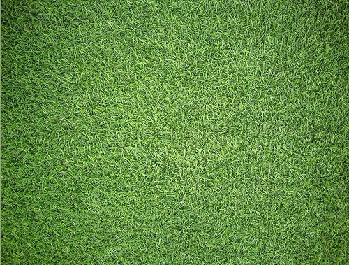 Miniatura 2 de Rompecabezas duros rompecabezas impuzzible de hierba natural de 1000 piezas para adultos rompecabezas desafiantes gran regalo para todas las edades