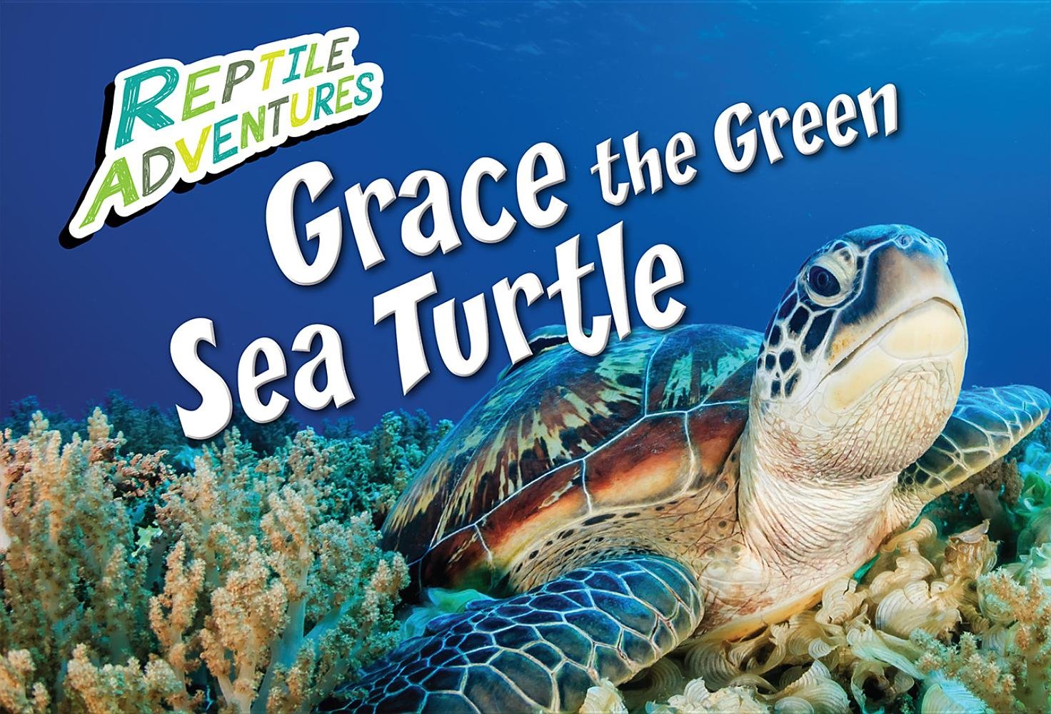 Grace the Green Sea Turtle (Reptile Adventures)
