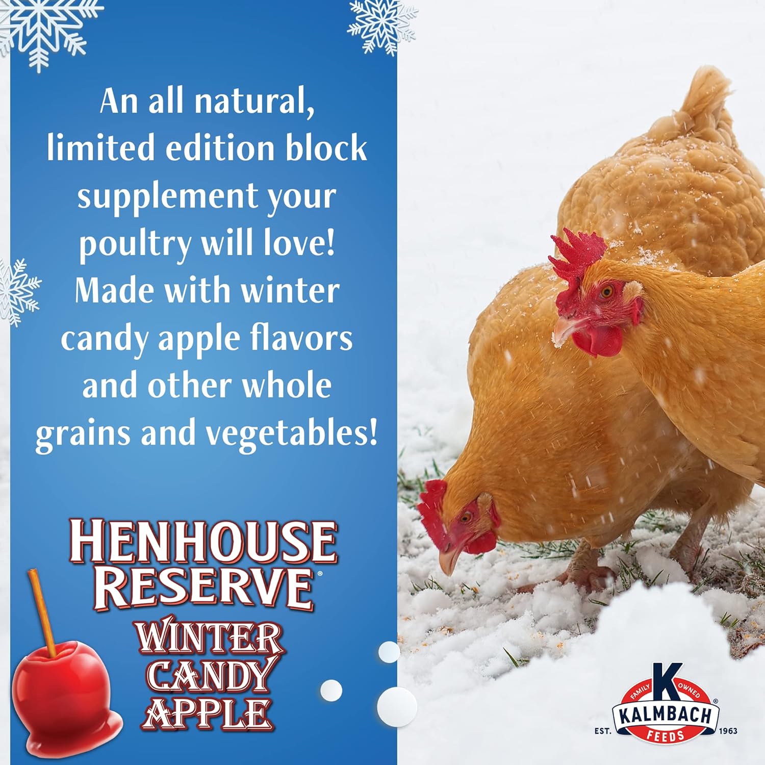 Kalmbach Feeds Henhouse Reserve Winter Candy Apple Flavored Treat Block for Chickens, 20 lb