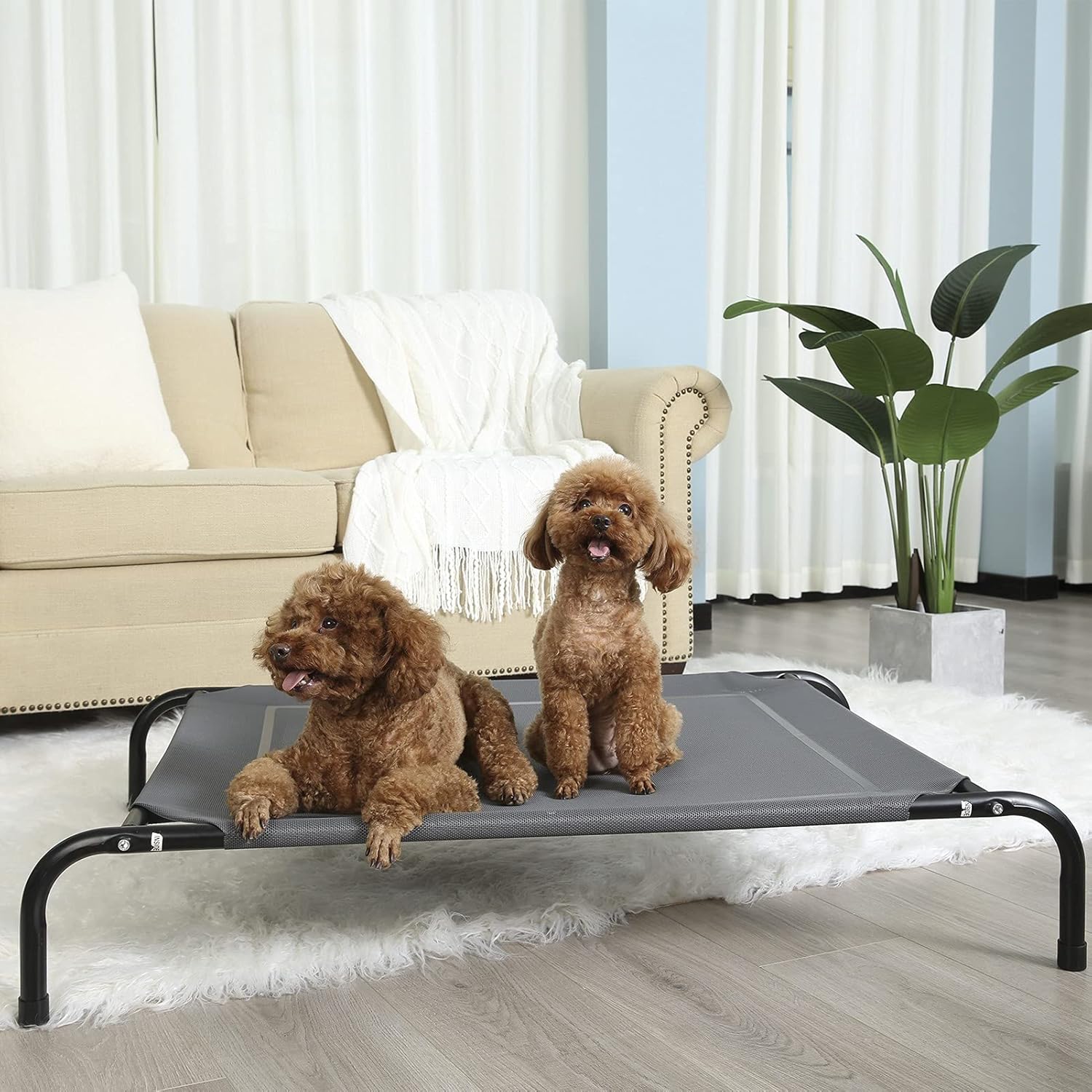 small raised dog bed