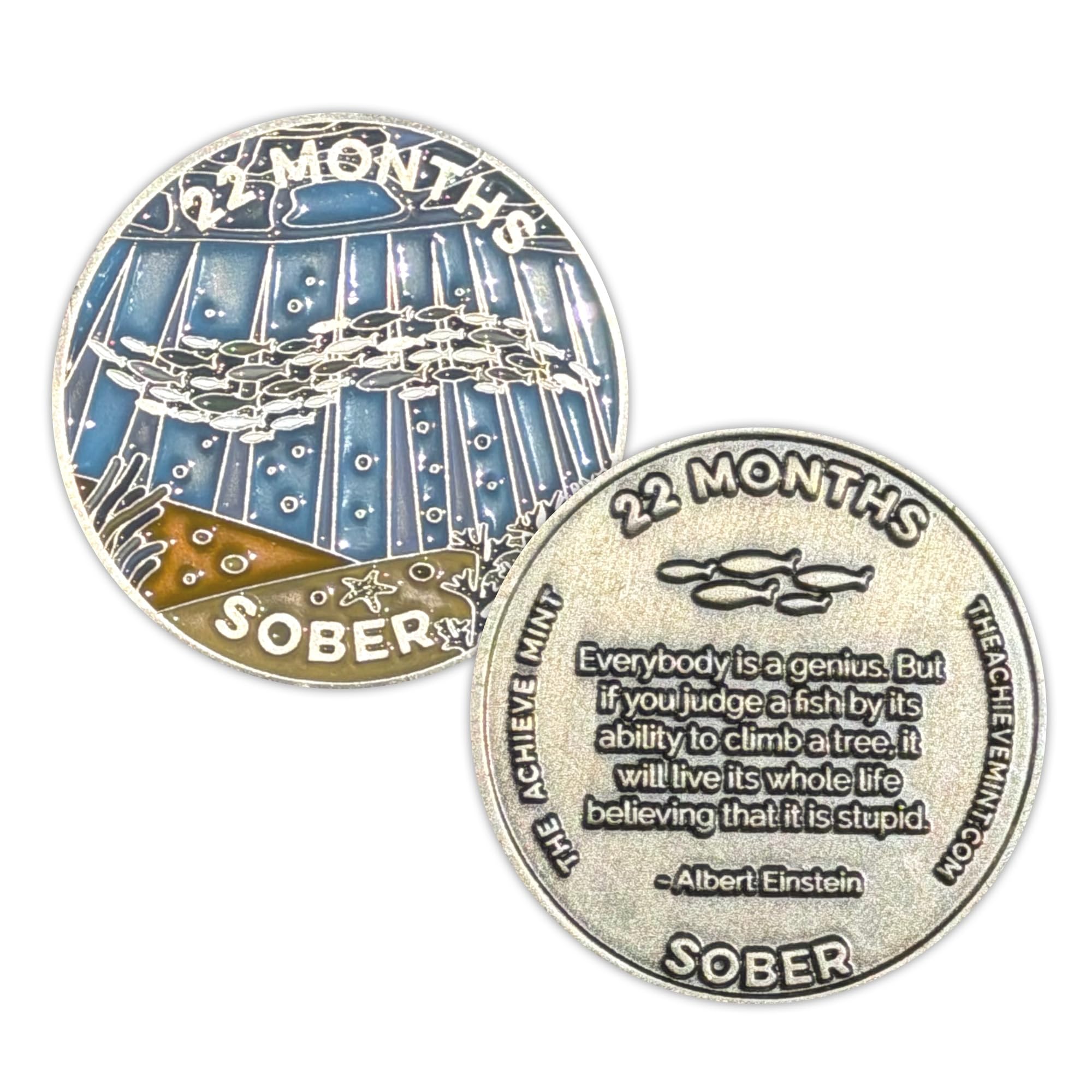 The Achieve Mint 22 Months Sober Token | 22 Months Sobriety Chip | Non-AA, Non-Religious Medallion for Men and Women Celebrating Sobriety